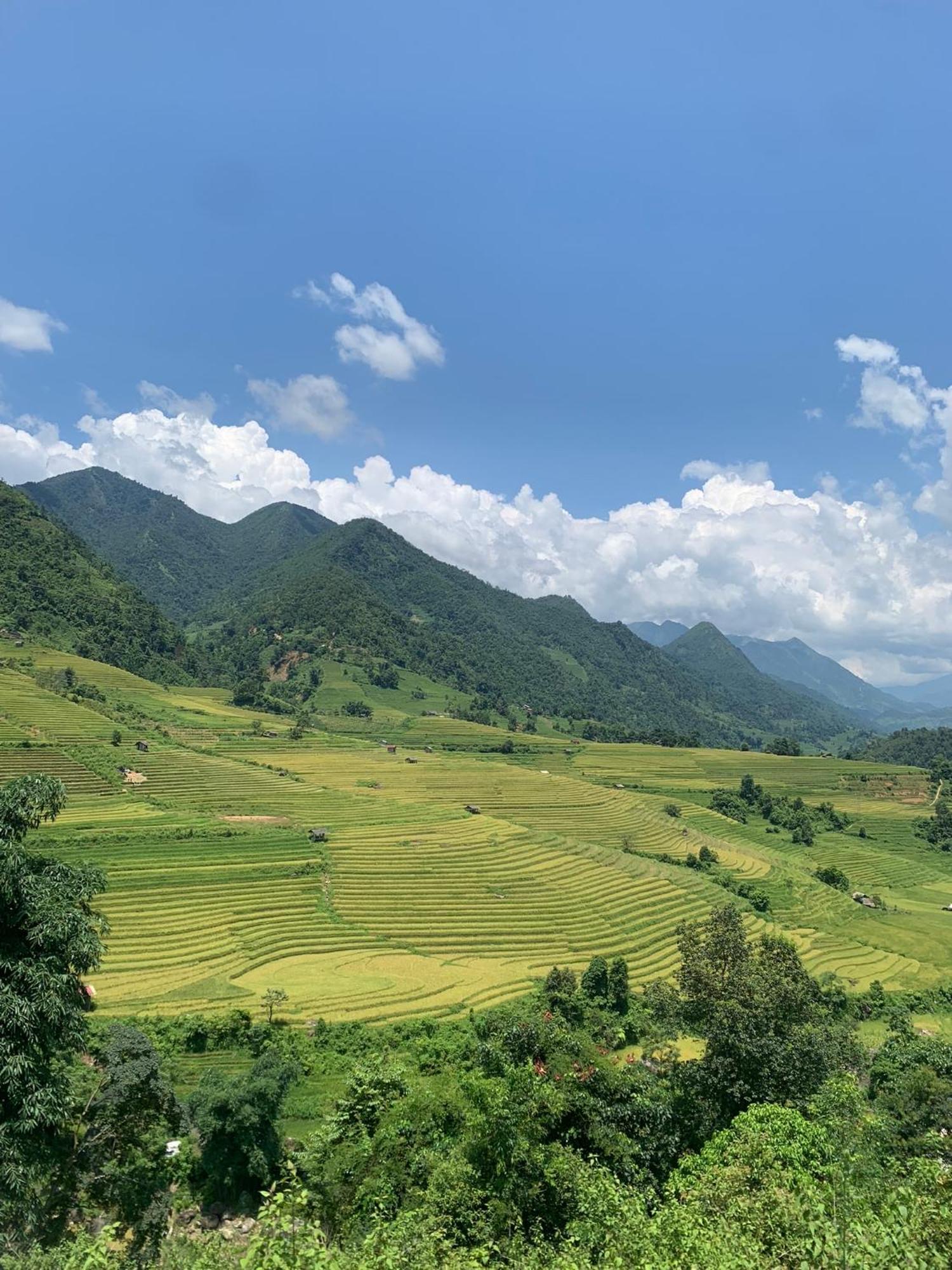 The Zen House Sapa Apartment Екстериор снимка