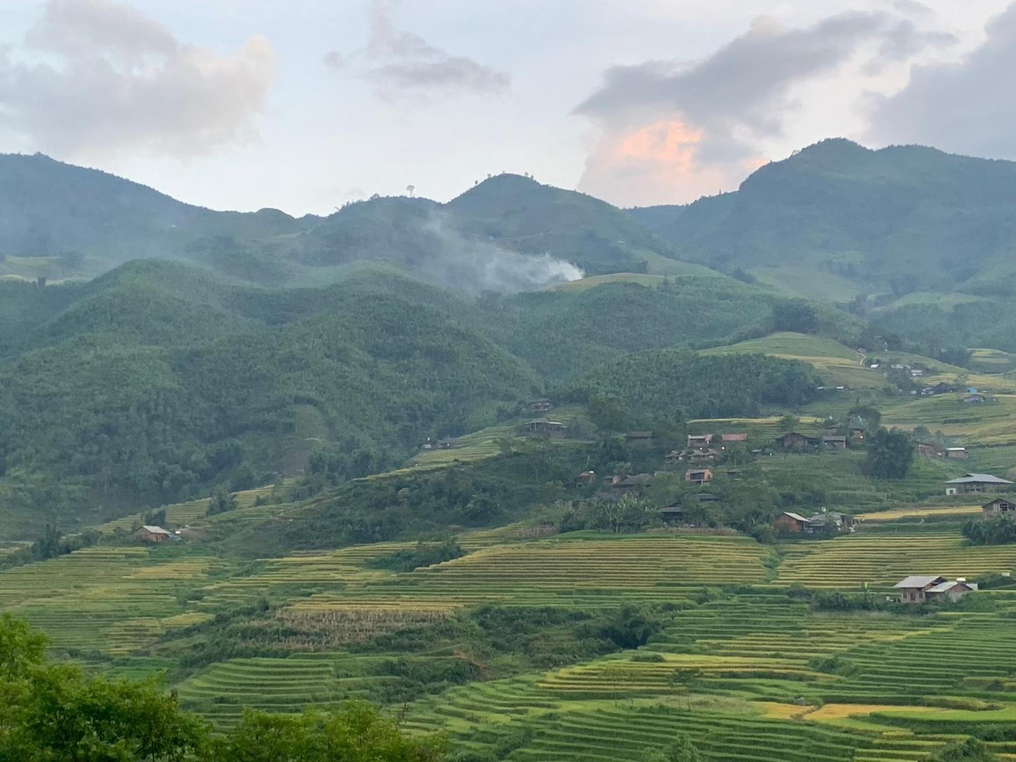 The Zen House Sapa Apartment Екстериор снимка